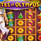 the lotto gates of olympus slot